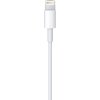 Apple - 3.3' (1M) Lightning to USB Cable - White